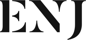 web development enjy